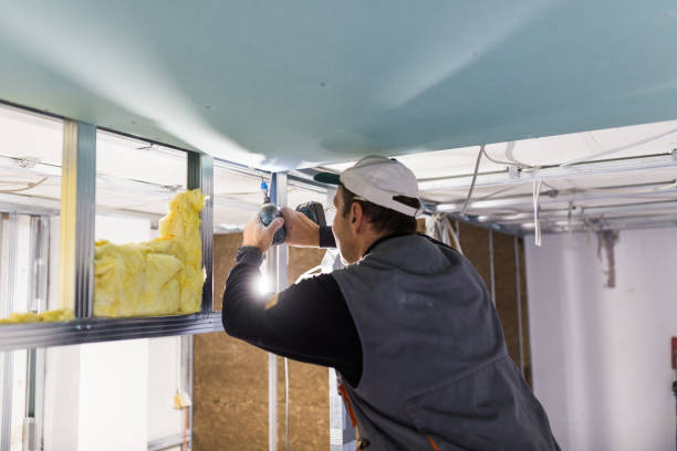 Best Geographic-Specific Insulation Services in Kendallville, IN