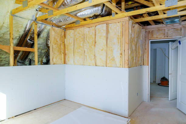 Best Specialized Insulation Services in Kendallville, IN