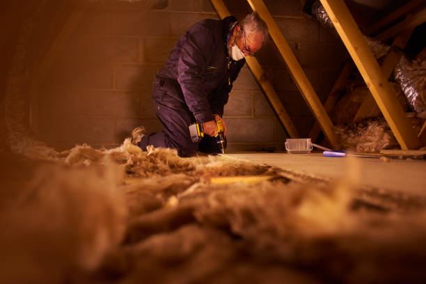 Types of Insulation We Offer in Kendallville, IN
